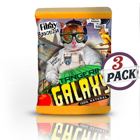 Filthy Spacecat Soap - Tangerine Galaxy 3 pack by Filthy Farmgirl