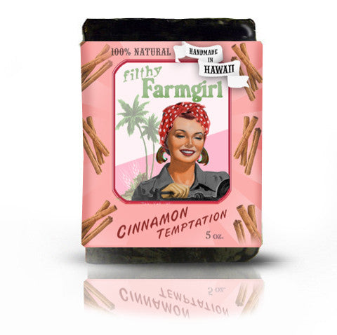 Cinnamon Temptation soap bar by Filthy Farmgirl