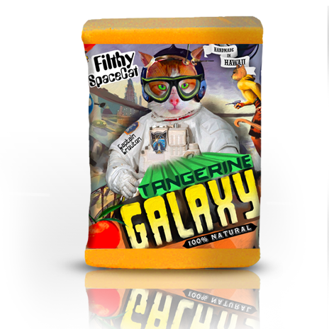 Filthy Spacecat Soap bar by Filthy Farmgirl